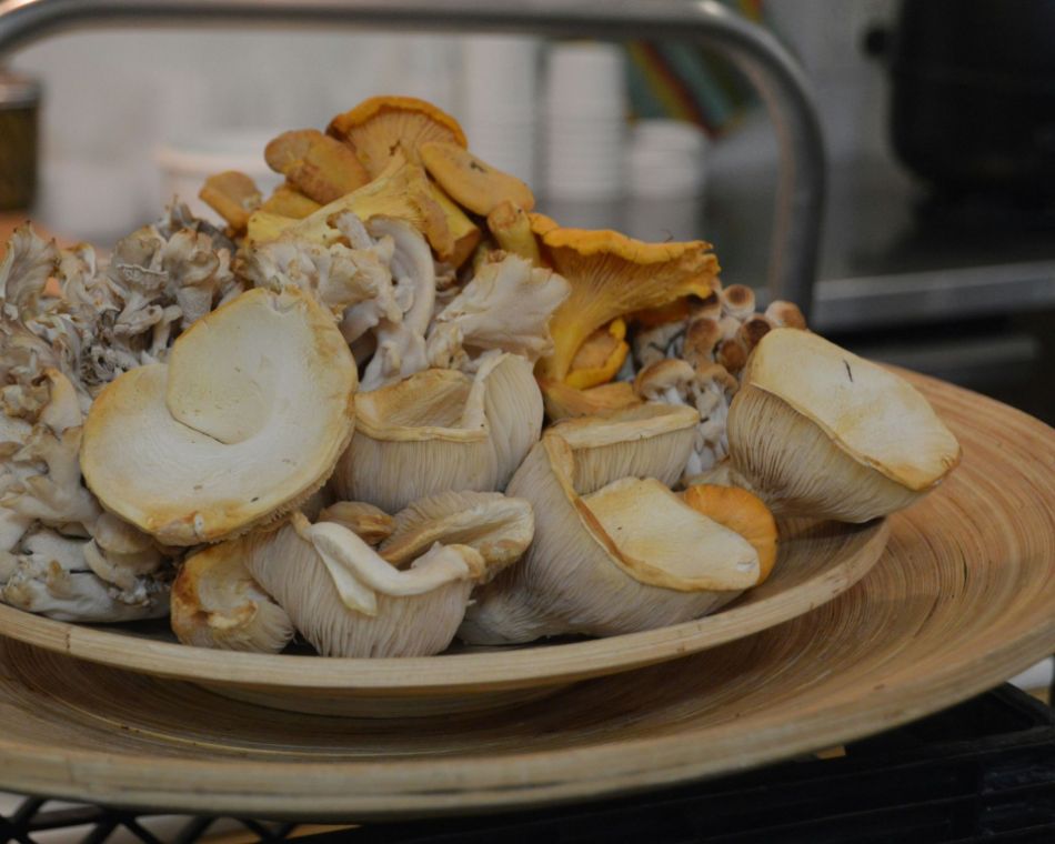 Dieta: Cómo introducir hongos en tu dieta